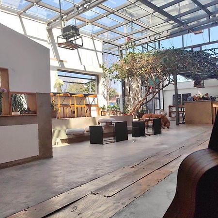 Dali Loft Travelling With Hostel Extérieur photo