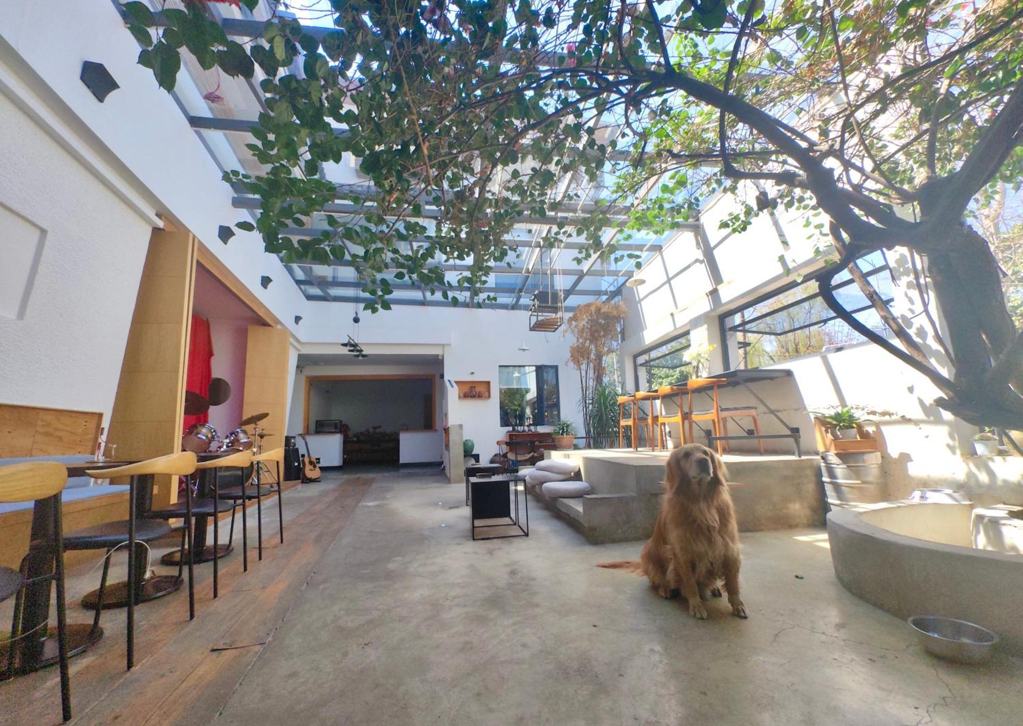 Dali Loft Travelling With Hostel Extérieur photo